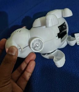 Dancing Bunny Toy