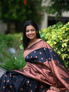Elegant Black &amp; Copper Saree