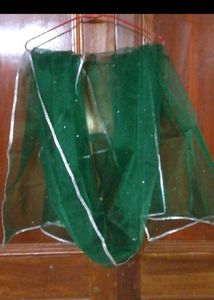 Green Net Dupatta