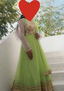 Elegant Light Green Ethnic Gown