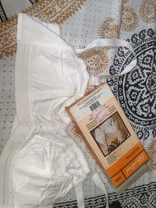 libertina all 34 c,d
