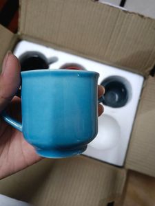 New Set Of 6 Cups