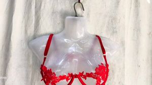 Red Lace Trimmed Bra