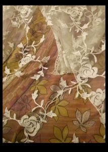 Net Embroidered Dupatta