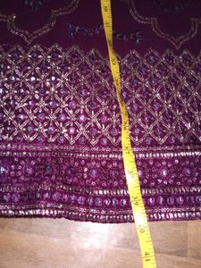 Sparkling  Lehenga choli