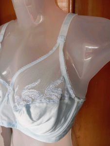 Ethereal Blue Embroidered Sheer Bra