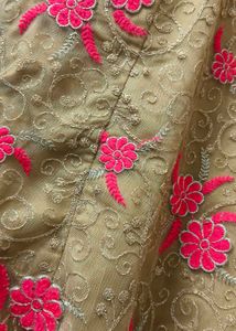Elegant Embroidered Ethnic Dress