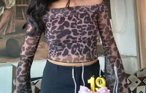 Sheer Leopard Print Off-Shoulder Top
