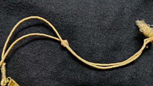 Elegant Golden Oxidized Jewelry Set