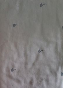 Women's Trouser