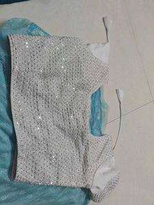 Sparkling White Sequinned Blouse with saree