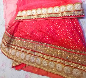 Beautiful Lehenga Saree