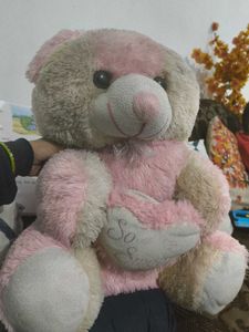 Cute Pink Teddy Bear