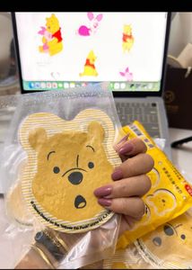 Winnie the Pooh Hand Warmers reusable