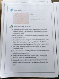 🔴❌Last minute Histology Notes ❌🔴