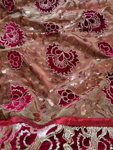 Beautiful Saree Half Net