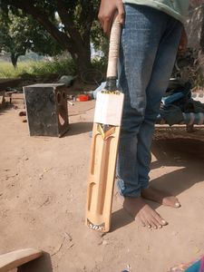 Cricket Bat