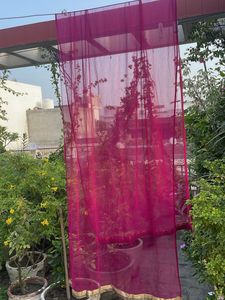 Beautiful Magenta Dupatta