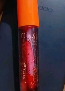 Cute Penguin Lip Gloss