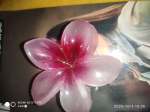 2 combo Cute Flower Hair Claw Clips