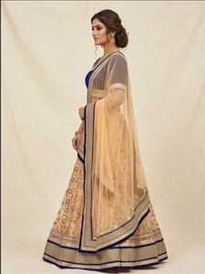 Elegant Royal Blue Velvet Blouse &amp; Net Lehenga