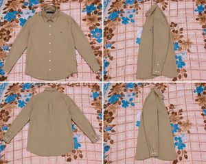 Tommy Hilfiger shirt for men.