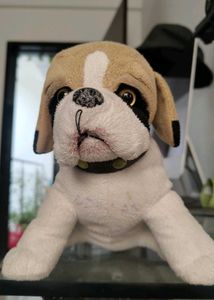 Adorable SoftToy Pug Dog Kutta for Sale! 🐾