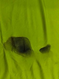 Green T-shirt