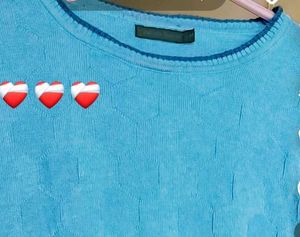 Sky Blue Pullover Sweater