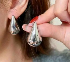 Silver gold Teardrop Earrings spiral earing