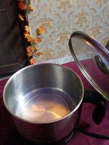 Multipurpose Electric Kettle
