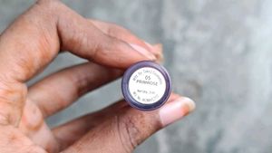Parul Garg Pro Silk Matte Liquid Lipstick