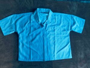 Blue Striped Shirt