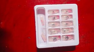 Chic Press-On Nails Set