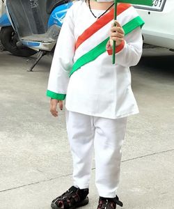 Indian Flag Inspired Costume