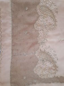 Beige Embellished saree with blouses and fall