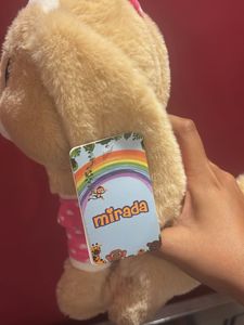Dog Plush Toy