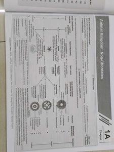 NCERT Maps for NEET Class XI Set