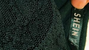 Very Fancy Net Sleeve Shein Top