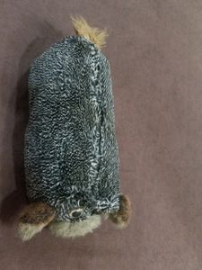 Dog Bag
