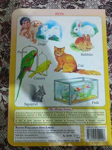 My Album of Domestic &amp; Pet Animals