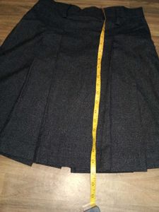 Pleated Skirt