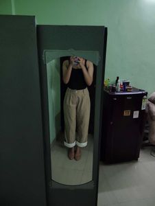 Stylish Beige Cropped Pants