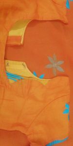 Orange embroidered saree
