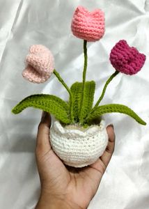 Crocheted Tulip Plant Decor