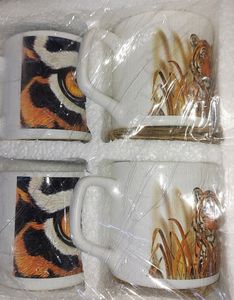 Wildlife Craft Collection 👌