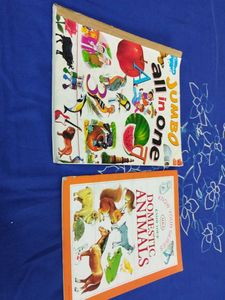 Jumbo All in One & Domestic Animals Books