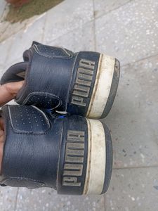 These are my puma Shoes which I Bought  before 1yr