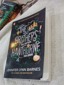 The Brothers Hawthorne Novel