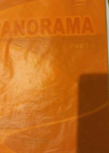 Panorama English Book Class 10 | BSEB | Like New